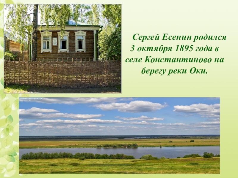 Село Константиново черемуха