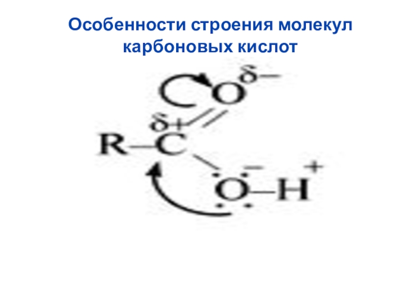 Презентация представители карбоновых кислот