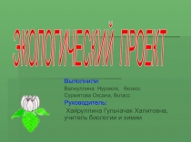 Экологический проект. Чистое село- чистая совесть