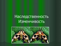 Презентация по биологии на тему:Изменчивость
