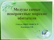 Презентация по биологии Медузы
