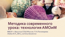 Методика современного урока: технология АМОиМ
