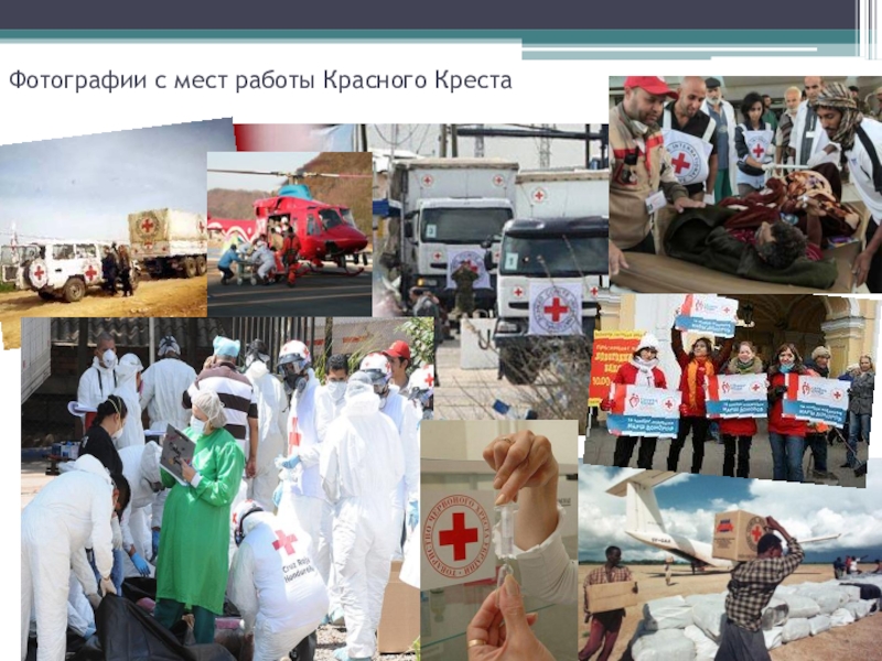 Причины возникновения международного комитета красного креста