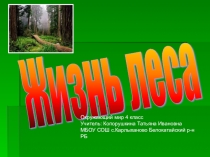 Лес - природное сообщество