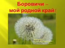 Презентация Моя родина - город Боровичи