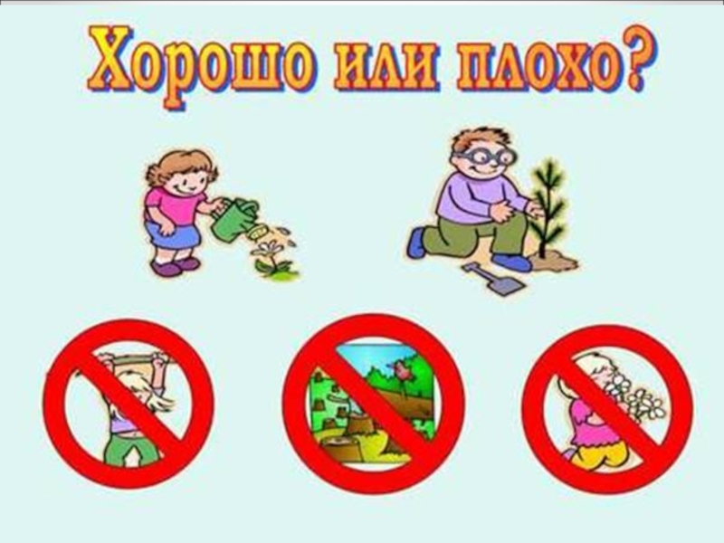 Картинки что можно делать и что нельзя