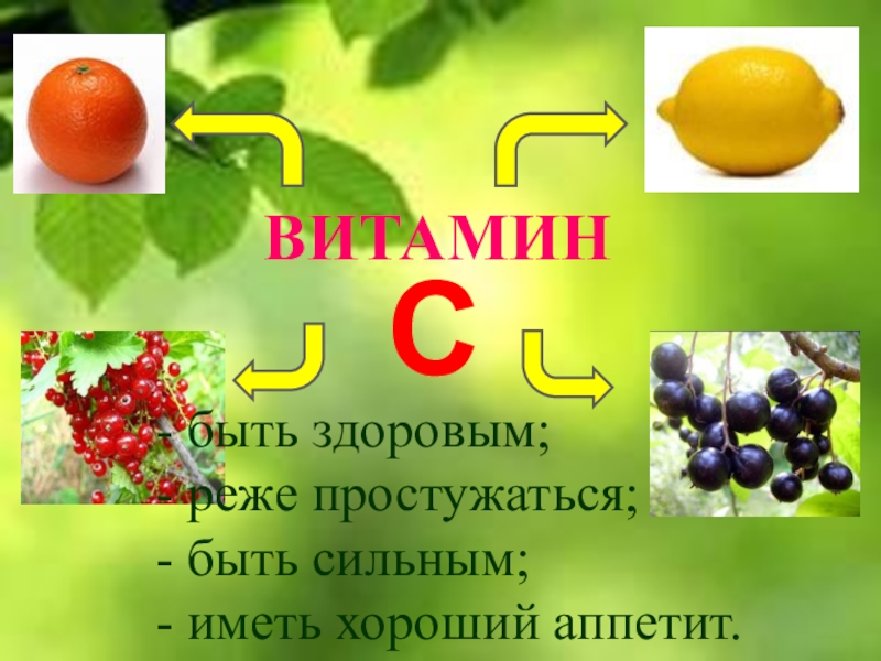 Почему нужно есть овощи и фрукты презентация 1 класс окружающий мир плешаков