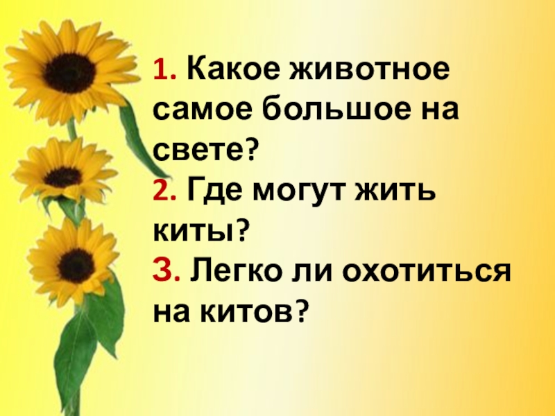 1. Какое животное самое большое на свете? 2. Где могут жить киты? З. Легко ли охотиться на