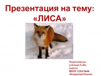 Презентация по окружающему миру на тему Лиса