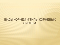 Презентация по биологии на тему  Виды корней и типы корневых систем.