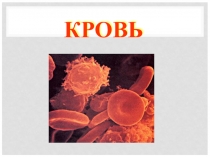 Презентация для класса с углубленным изучением биологии по теме Кровь