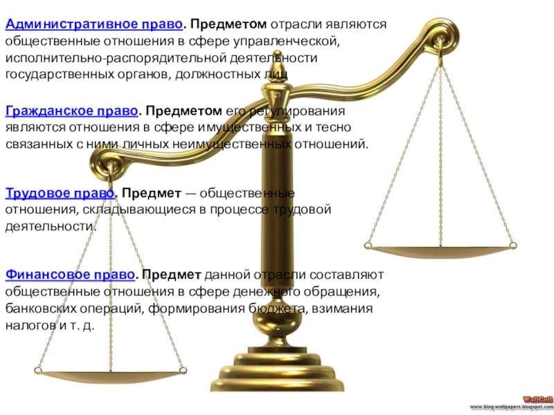 Управленческое право. Административное право предмет отрасли. Административное право законодательство. Основные вопросы по административному праву. Предмет административного права картинки.