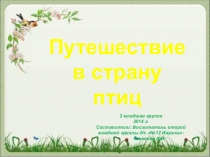 Презентация к занятию в средней группе по теме:  Путешествие в страну птиц. ( Соответствует ФГОС)