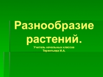 Презентация по окружающему миру