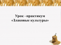 Презентация к уроку Злаковые культуры