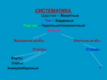 Презентация по биологии на тему