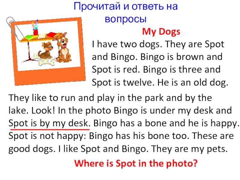 They like to run and play in the park and by thelake. Look! In the photo Bingo