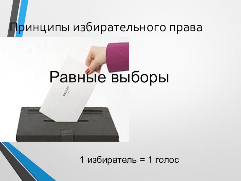 Выборы реферат. Принцип равного избирательного права. Принцип равных выборов. Принцип равное избирательное право. Принцип равного избир права.