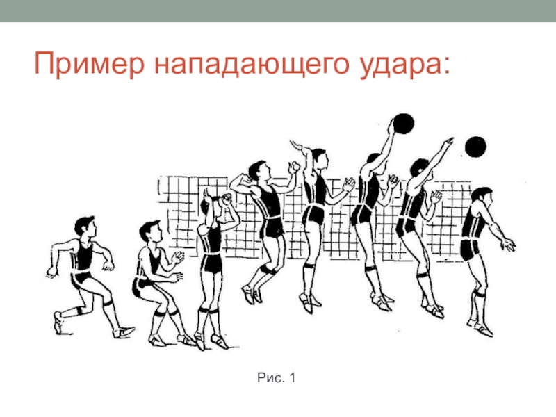 Овладение спортивной техникой волейбола в процессе обучения осуществляется по следующей схеме