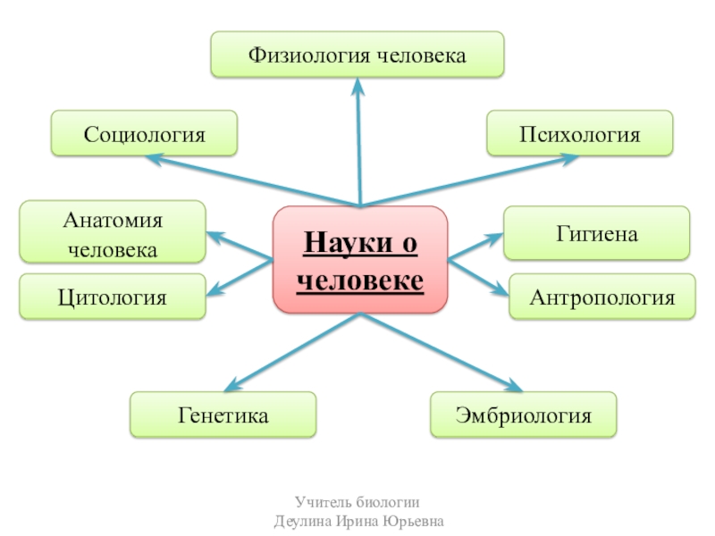 Науки о человеке схема. Разделы биологии анатомия физиология. Биологические науки о человеке. Разделы науки о человеке.