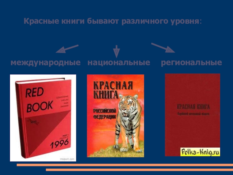 Какие есть красные книги. Красные книги различных уровней. Какие бывают красные книги. Международные национальные и региональные красные книги. Красная книга России.