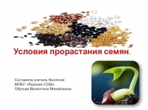 УРОК . ПРЕЗЕНТАЦИЯ, Условия прорастания семян.