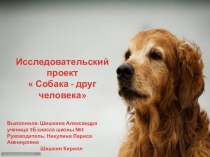 Презентация к исследовательскому проекту по окружающему миру на тему Собака-друг человека,выполненная Александрой Шишкиной,ученицей 3б класса.Руководитель: Никулина Л.А.