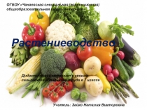Презентация. Сорта белокочанной капусты , пригодные для потребления в свежем виде, квашения и зимнего хранения кочанов.