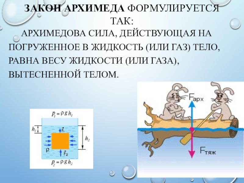 Проект сила архимеда