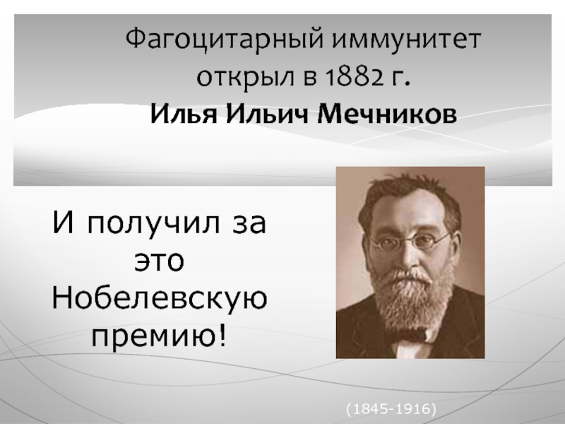 Мечников создал учение о фагоцитарном иммунитете