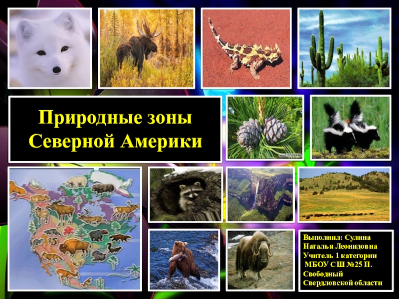 Реферат: Фауна и растительность Свердловской области