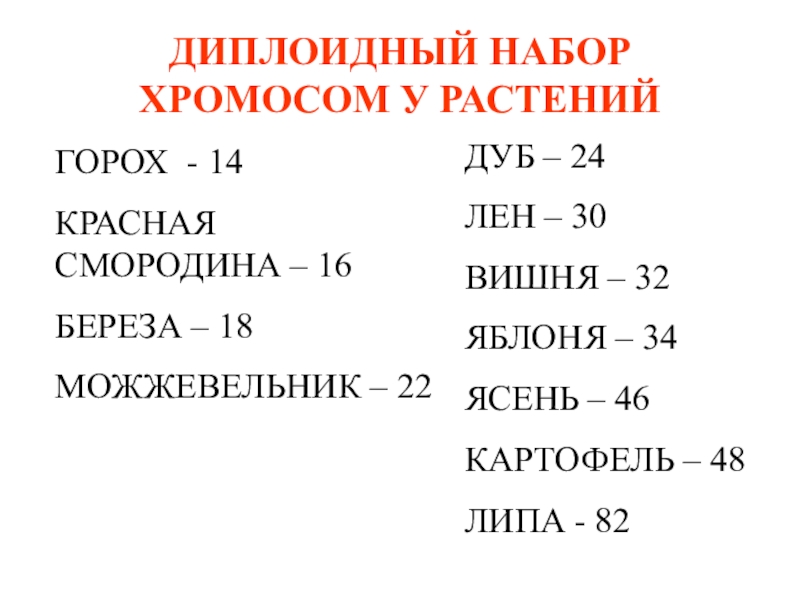 Диплоидный хромосомный набор. Диплоидный набор формула. Хромосомный набор красной смородины. 48 Хромосом у картофеля. Диплоидный набор хромосом у кошки.