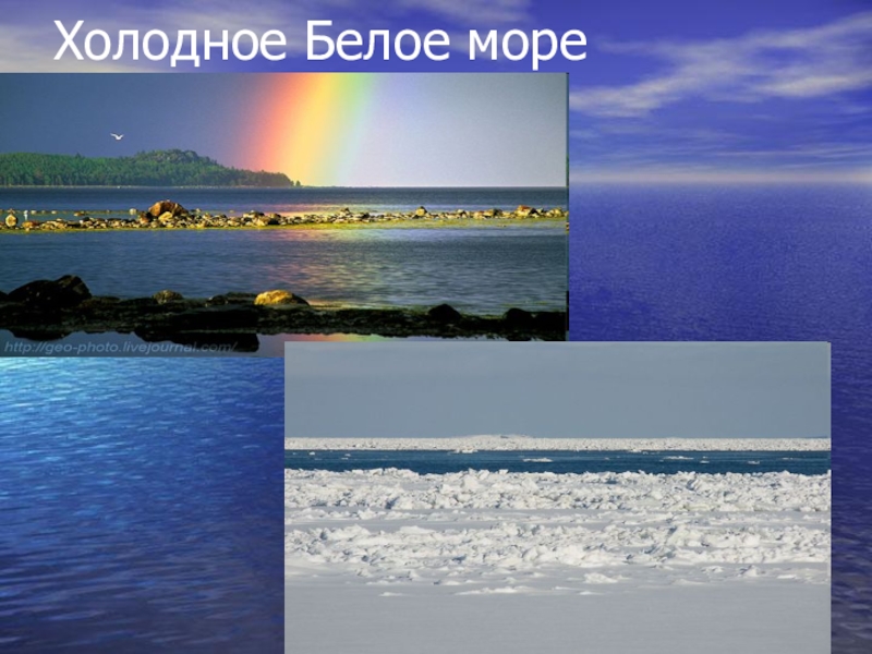 Белое море презентация