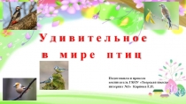 Презентация Удивительное в мире птиц для 6 - 8 классов