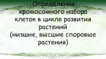 Презентация Определение хромосомного набора клеток в цикле развития растений (низшие, высшие споровые). Подготовка к ЕГЭ.)