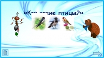 Презентация по окружающему миру на тему  Кто такие птицы