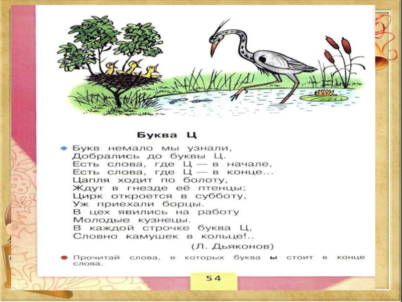 Буква ц презентация