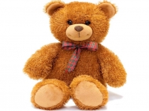 Презентация к занятию рассказ В. Осеевой Синие листья