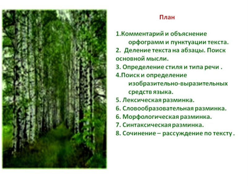 Образ березы. Береза основная мысль. Основная мысль текста про березу. План описания березы. Определение понятия береза.