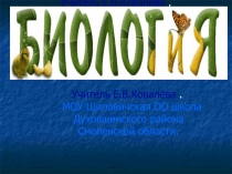 Презентация Китообразные, Ластоногие, Хоботные, Хищные.