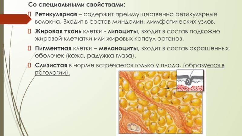 Наиболее часто гепарин вводят в подкожную клетчатку