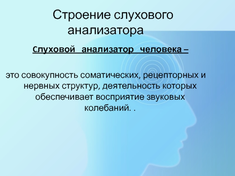 Возрастные особенности слухового анализатора