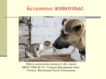 Презентация по исследовательской работе Бездомные животные