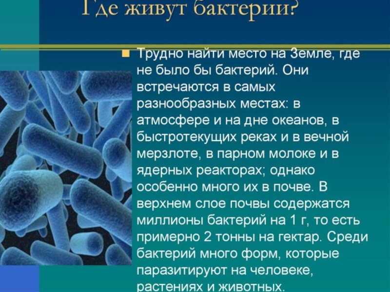 Презентация образовательный проект по биологии