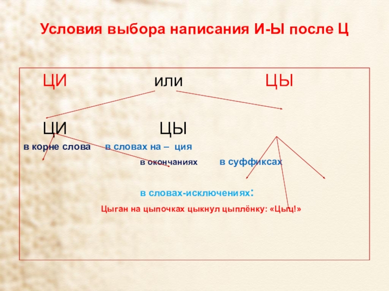 И ы после ц 5 класс презентация