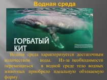 Кто где живет? Часть 2