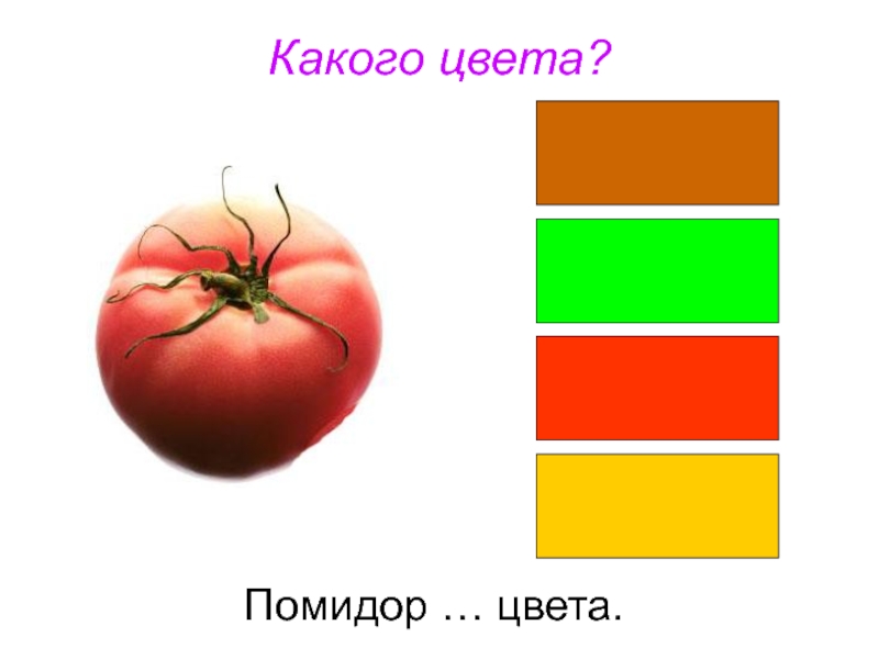 Цвет томатов. Томатный цвет. Шкала цветности томатов. Цветовая шкала для томатов. Какого цвета может быть помидор.