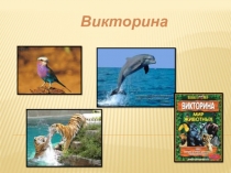 Презентация по окружающему миру на тему Животные(3 - 4 класс)