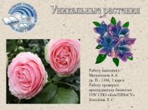 Презентация по биологии на тему Удивительный мир цветов