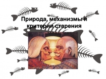 Презентация по биологии на тему